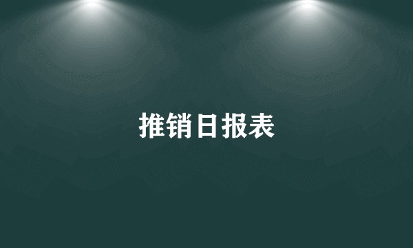 推销日报表
