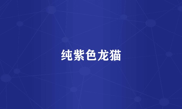 纯紫色龙猫