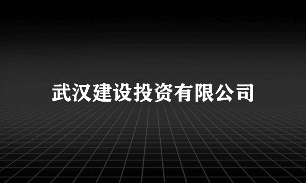 武汉建设投资有限公司