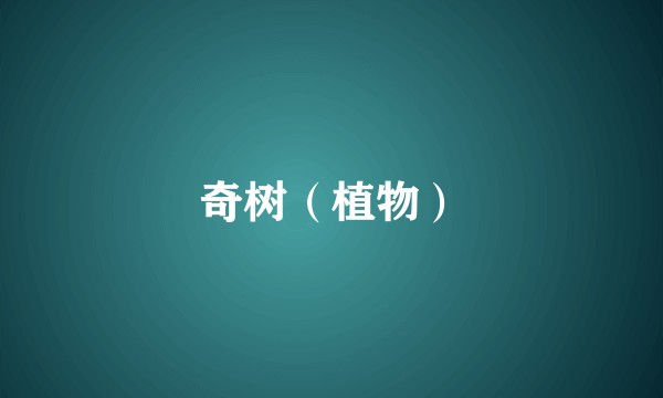 奇树（植物）