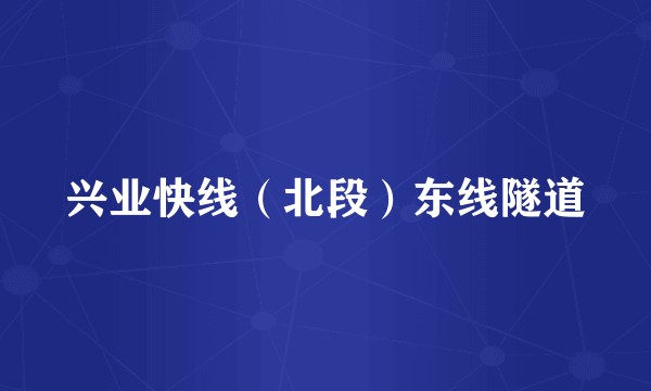 兴业快线（北段）东线隧道