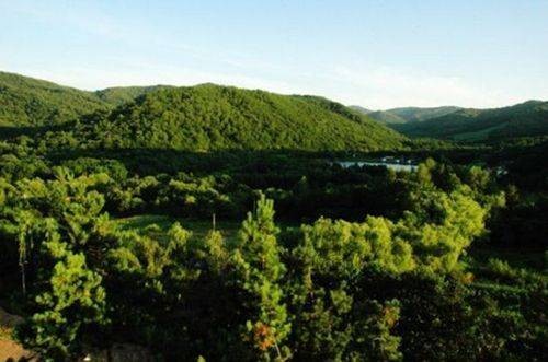 黑龙江青山国家森林公园