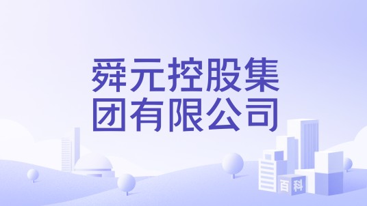 舜元控股集团有限公司