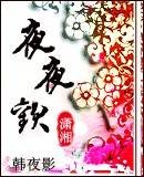 夜夜欢（韩夜影创作的网络小说）