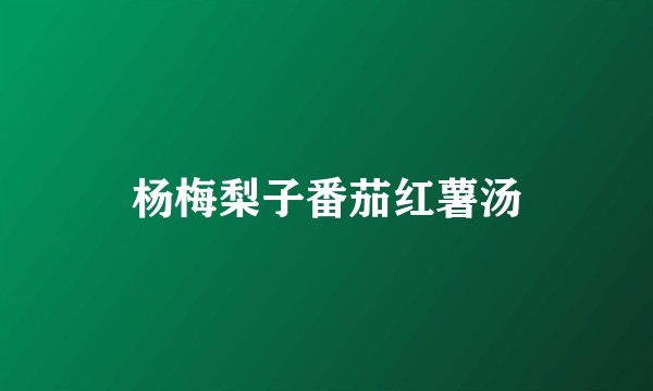 杨梅梨子番茄红薯汤