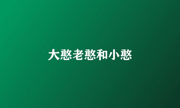 大憨老憨和小憨