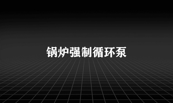 锅炉强制循环泵