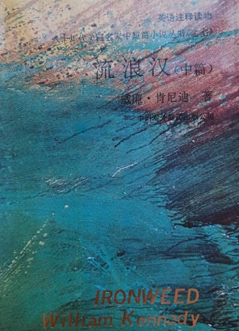 流浪汉（中篇）