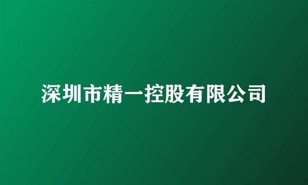 深圳市精一控股有限公司