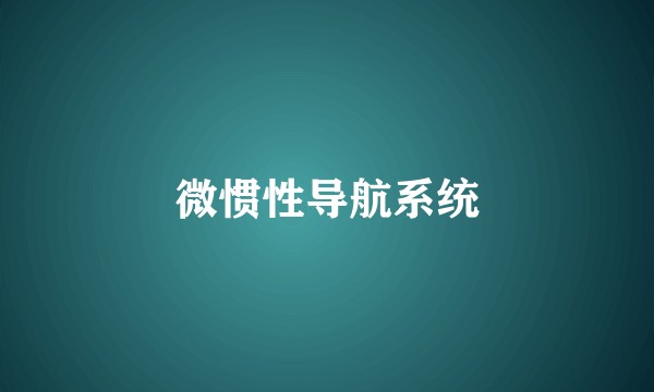 微惯性导航系统