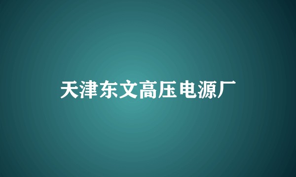 天津东文高压电源厂