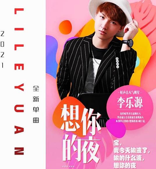 想你的夜（李乐源演唱的歌曲）