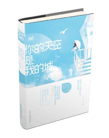 你的天空是我的城（2015年山东画报出版社出版的图书）