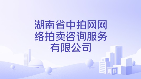 湖南省中拍网网络拍卖咨询服务有限公司