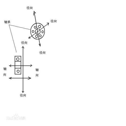 径向（数学、物理领域专用概念）