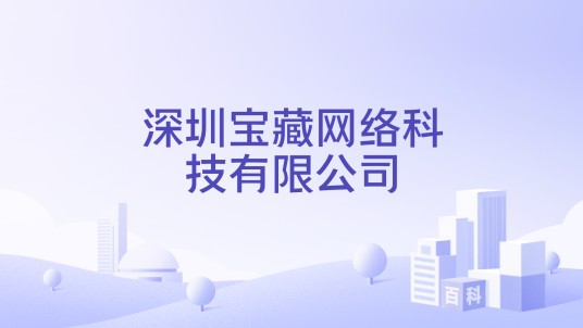 深圳宝藏网络科技有限公司