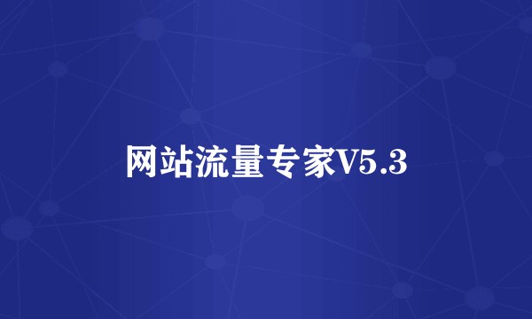 网站流量专家V5.3