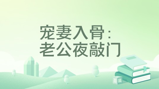宠妻入骨：老公夜敲门