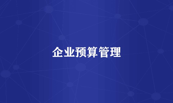 企业预算管理