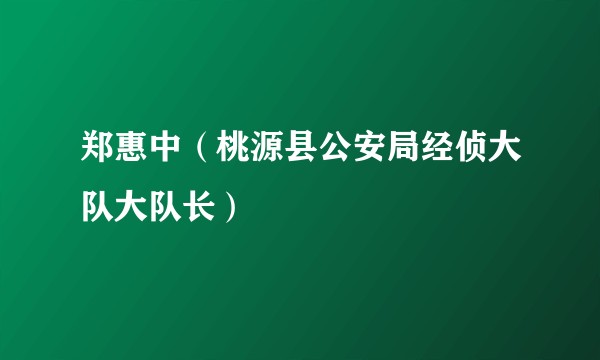 郑惠中（桃源县公安局经侦大队大队长）