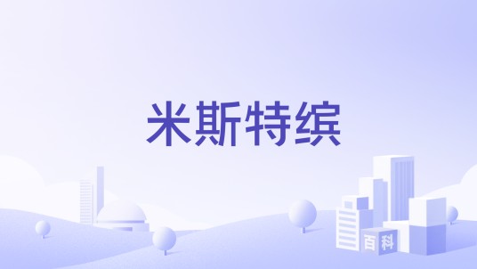 米斯特缤