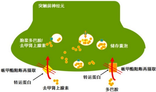 中枢神经兴奋剂