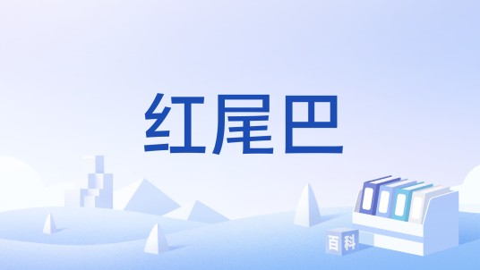 红尾巴（百度贴吧实名认证）