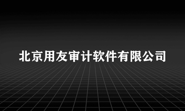 北京用友审计软件有限公司