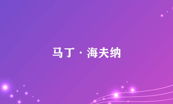 马丁·海夫纳
