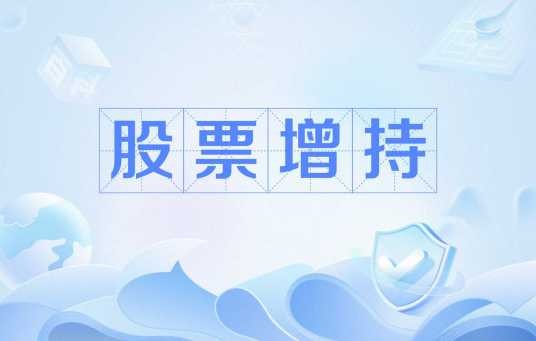 股票增持