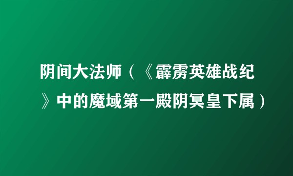 阴间大法师（《霹雳英雄战纪》中的魔域第一殿阴冥皇下属）