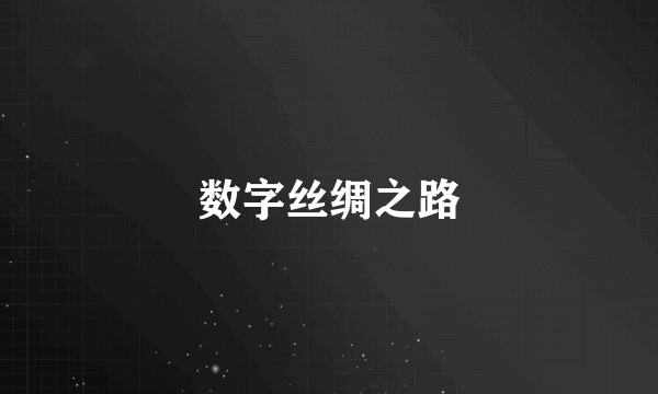 数字丝绸之路