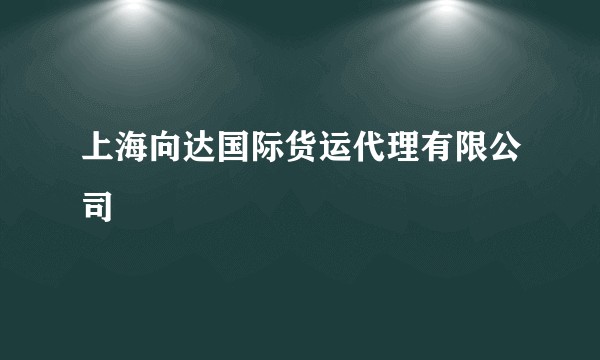 上海向达国际货运代理有限公司