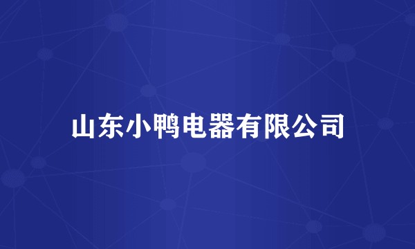 山东小鸭电器有限公司