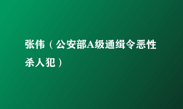 张伟（公安部A级通缉令恶性杀人犯）