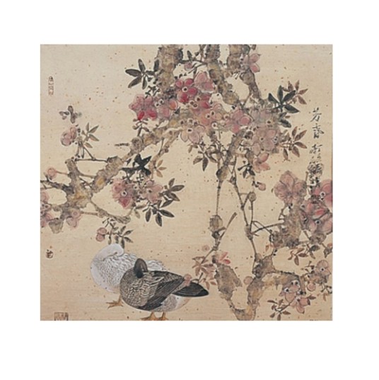 文学艺术（用文字表达的一种语言艺术）