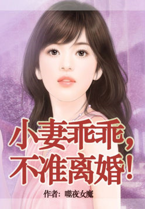 老婆乖乖,不准离婚!