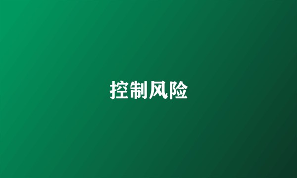 控制风险