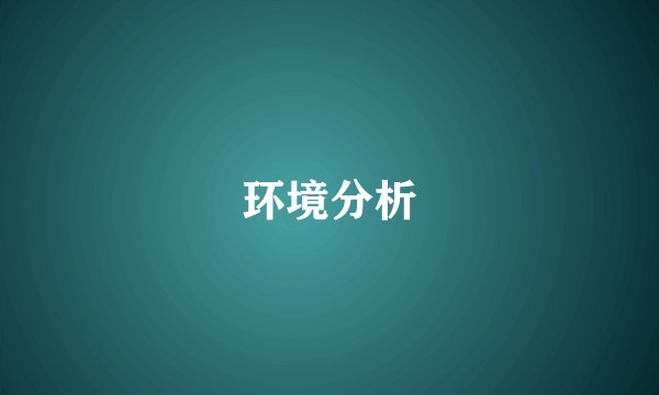 环境分析