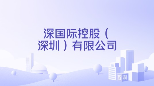深国际控股（深圳）有限公司