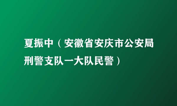 夏振中（安徽省安庆市公安局刑警支队一大队民警）