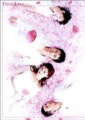 初恋（日本2002年生野慈朗、今井夏木等执导的剧情电视剧）