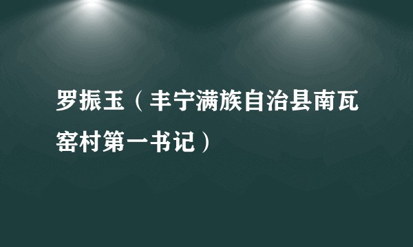 罗振玉（丰宁满族自治县南瓦窑村第一书记）