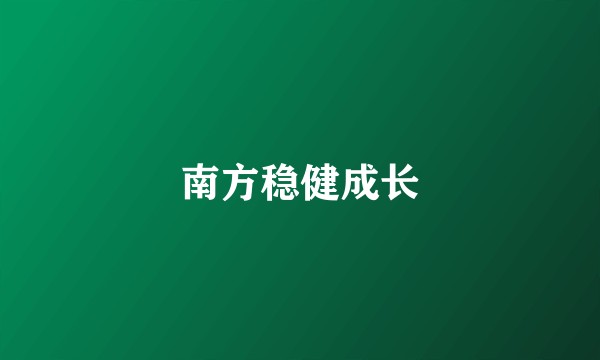 南方稳健成长