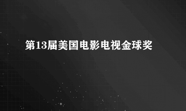 第13届美国电影电视金球奖
