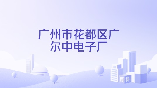 广州市花都区广尔中电子厂
