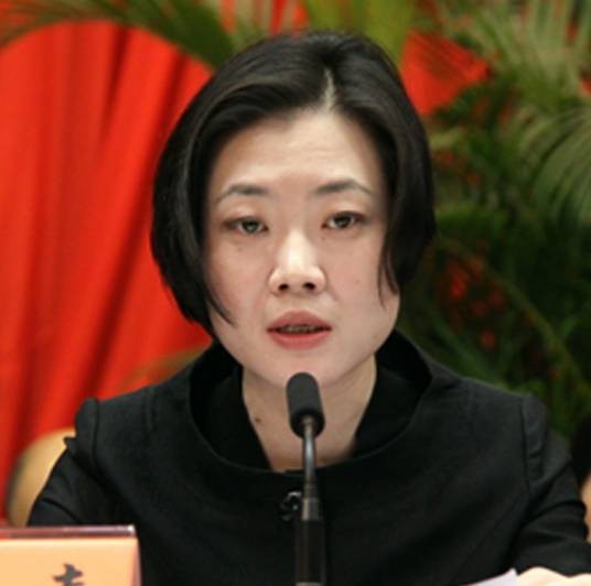 赵嘉（广东省深圳市坪山区委书记）