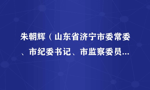朱朝辉（山东省济宁市委常委、市纪委书记、市监察委员会主任）
