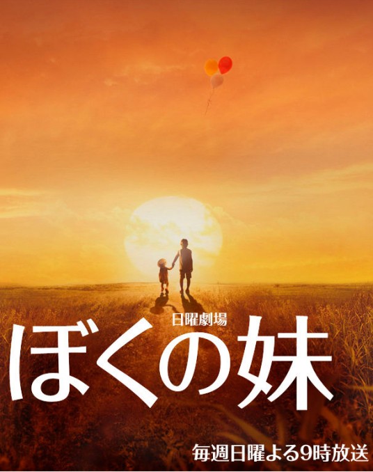 我的妹妹（日本2009年小田切让主演的电视剧）