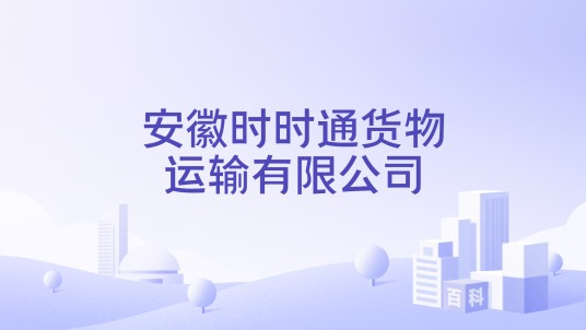 安徽时时通货物运输有限公司